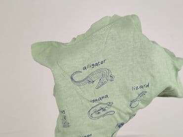 sizeer koszulki: Koszulka, Lupilu, 5-6 lat, 110-116 cm, stan - Bardzo dobry — 6