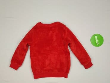 sukienki z weluru i aksamitu allegro: Bluza, Little kids, 3-4 lat, 98-104 cm, stan - Bardzo dobry — 3