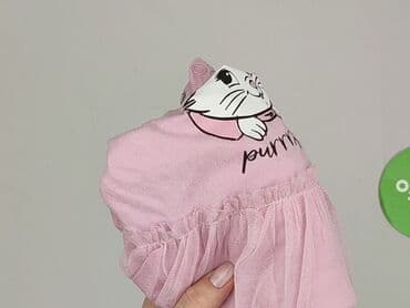 sukienki z weluru i aksamitu allegro: Body, Disney, 12-18 miesięcy, 
stan - Idealny — 6