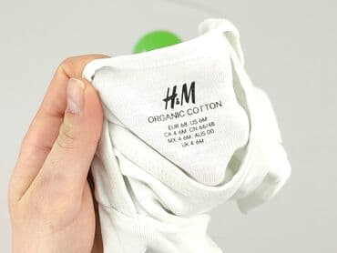 ubranka dla niemowląt 0 3 h m: Body, H&M, 3-6 miesięcy, 
stan - Idealny — 4