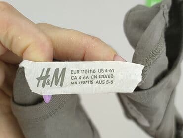 sukienka zebra h m: Podkoszulka, H&M, 5-6 lat, 110-116 cm, stan - Bardzo dobry — 4