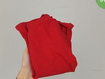 sukienki z weluru i aksamitu allegro: Bluzka, Sinsay, 4-5 lat, 104-110 cm, stan - Idealny — 6