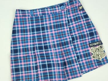spódniczka srebrna: Spódniczka, Marks & Spencer, 15 lat, 164-170 cm, stan - Idealny — 1