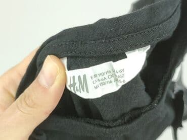 sukienka zebra h m: Bluzka, H&M, 5-6 lat, 110-116 cm, stan - Bardzo dobry — 4